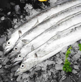 码头直发 象山海鲜套餐