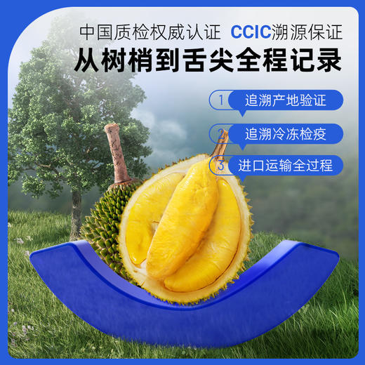 马来西亚彭亨州猫山王 新鲜水果液氮冷冻保鲜带壳榴莲D197整个 商品图2