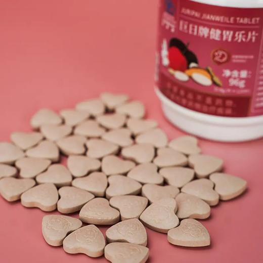 全食物日记×森维思 巨日牌健胃乐片96g 120片/瓶 商品图3