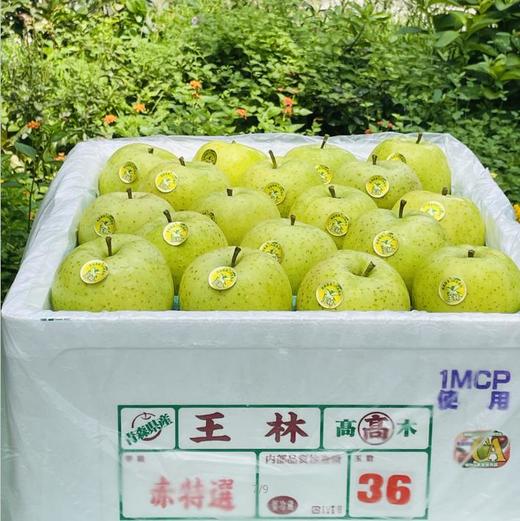 日本青森王林|新上市太甜太水润了，脆爽，抚慰牙齿的酥脆甜，优雅的兰花香气，让人难忘～💚💚 商品图4