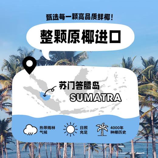 椰子知道0糖厚椰乳 整颗原椰进口 生椰拿铁咖啡伴侣 商品图1