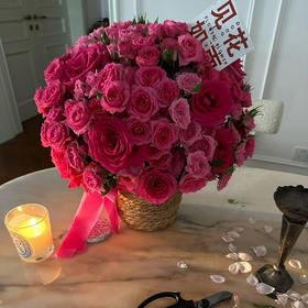 《爱要郑重其事》弗洛伊德苏菲宝贝抱抱桶