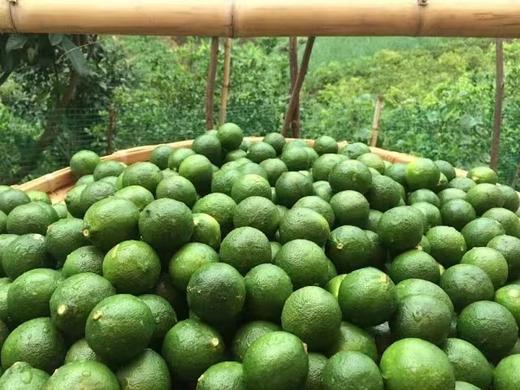 生态青柠 | 生态种植、老品种、带籽 | 每周发运2次，现采现发 | 产自云南元江眷村，产地直发，顺丰包邮 商品图1