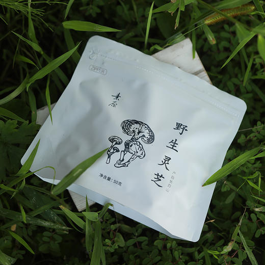 「野生灵芝」 长白山原始森林   野生野长   现切现售 商品图0