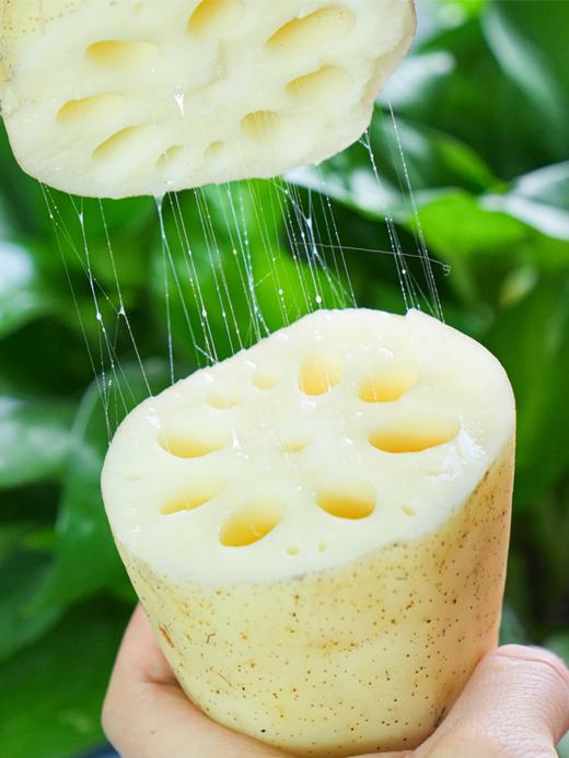 正宗洪湖莲藕新鲜粉藕 煲汤粉糯不适合凉拌  5斤装 商品图2