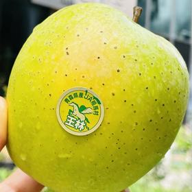 日本青森王林|新上市太甜太水润了，脆爽，抚慰牙齿的酥脆甜，优雅的兰花香气，让人难忘～💚💚