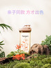 新加坡Hegen 限量版花卉礼盒 | 多功能奶瓶婴儿新生儿喝水杯礼物 商品缩略图3