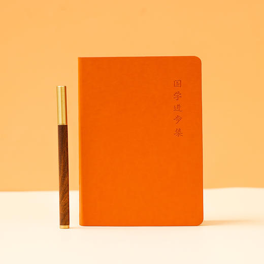 国学进步集 传统文化国学中医经络八卦创意日记笔记本 商品图0