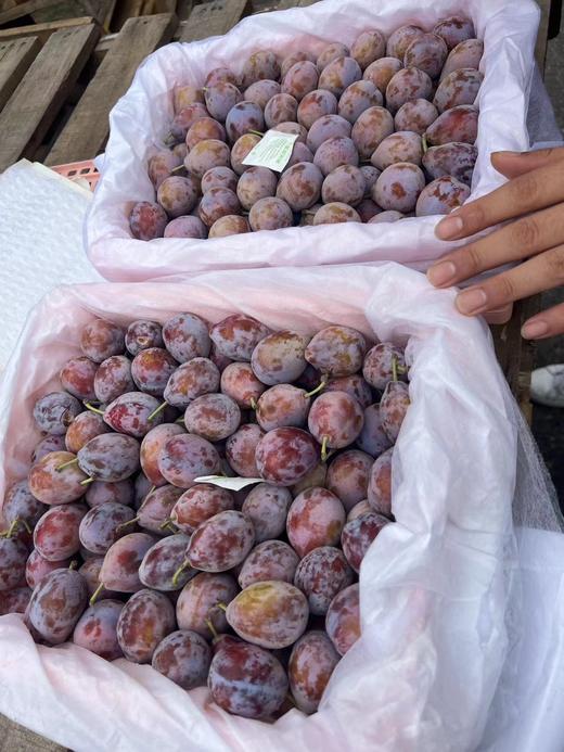 周二取货：【新疆西梅】一份1斤左右，中国超好吃的西梅，放软些贼甜！ 商品图6