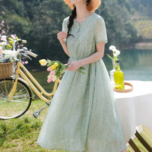 Avann清新感天丝连衣裙 商品图2