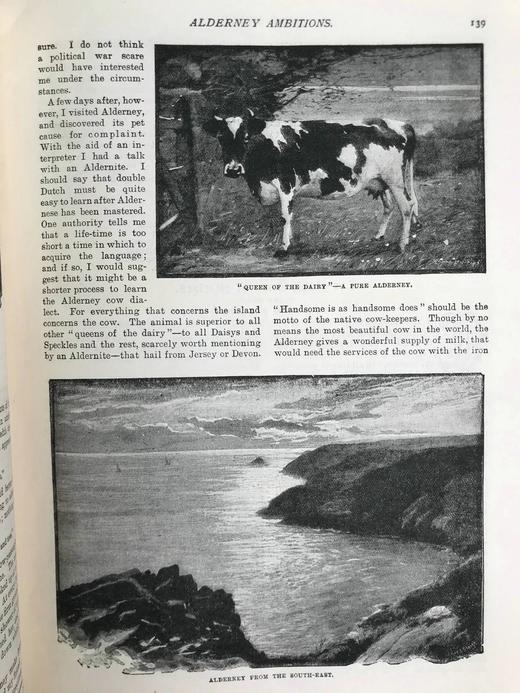 1896年 家庭箴言杂志 约百幅插图 漆布精装16开 商品图11