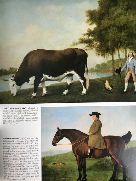 十八世纪：启蒙运动时代的欧洲 589幅插图（173幅彩色） 精装8开 商品图7