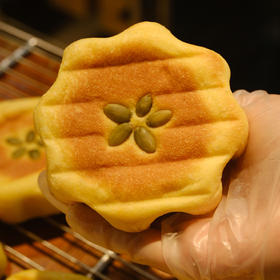 现烤面包—发酵南瓜派