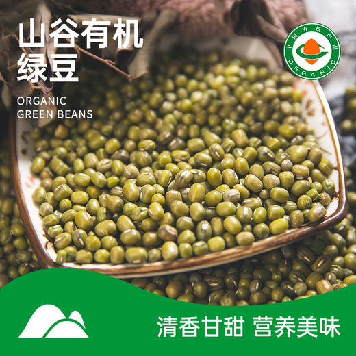 【有机绿豆】800g 东北农家五谷杂粮绿豆粥 商品图0