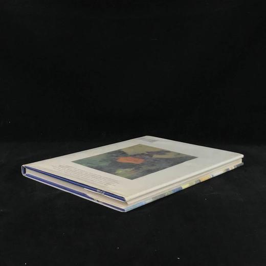 马奈画集（馆藏） 139幅彩色插图 精装大16开 商品图2