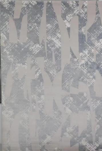 中洲公馆同款 多功能厅地毯 商品图0