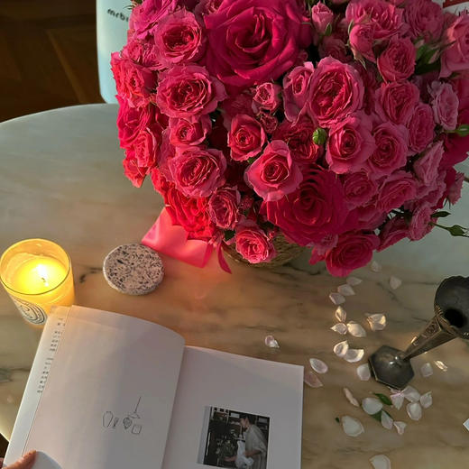 《爱要郑重其事》弗洛伊德苏菲宝贝抱抱桶 商品图3