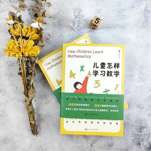 儿童怎样学习数学:给父母和教师的指南 商品图1