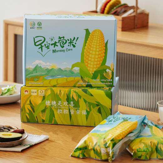 早安大苞米 黄金香糯玉米 软糯香甜 老少皆宜 每箱10穗 商品图0
