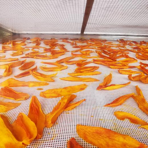 四川攀枝花生态芒果干 |  十斤鲜果一斤干 | 公平贸易 | * Ecological Mango Dried 商品图1