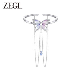 ZEGL幻彩蝴蝶流苏臂环女小众设计高级感手链2023年新款手饰身体链