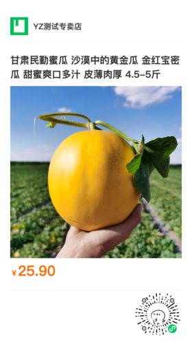 《硅基物语.我是灵魂画手》一本书讲透AI绘画