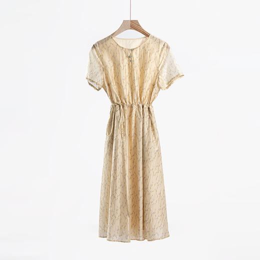 Avann清新感天丝连衣裙 商品图4