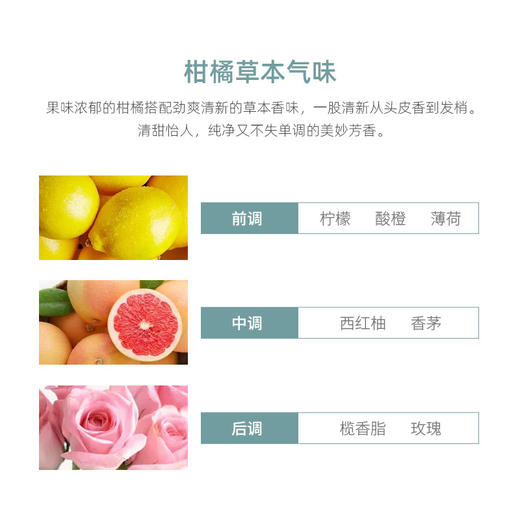 阿蜜浓梅森 氨基酸洁净控油平衡洗发水/护发素 商品图3