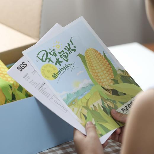 【第七季·早安大苞米】母婴级玉米，东北真空鲜穗玉米，软糯香甜不粘牙 商品图9