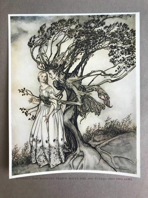 1917年 小弟弟和小姐姐及其他格林童话集 鬼才拉克姆13幅彩色手工贴图与大量黑白插图 布面精装16开 商品图8