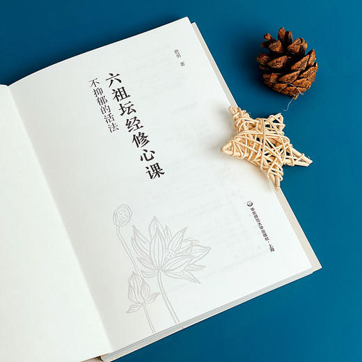 不抑郁的活法 六祖坛经修心课 唤醒身心潜藏活力心灵疗愈励志经典 商品图5