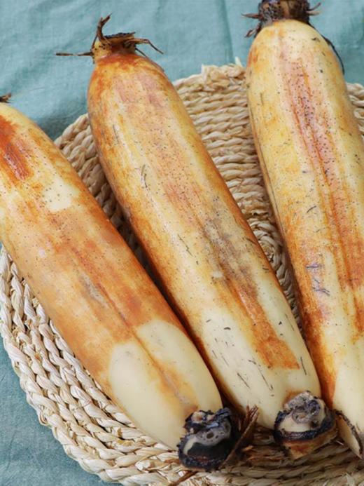 正宗洪湖莲藕新鲜粉藕 煲汤粉糯不适合凉拌  5斤装 商品图3