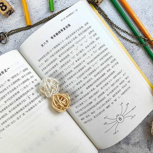 儿童怎样学习数学:给父母和教师的指南 商品图4