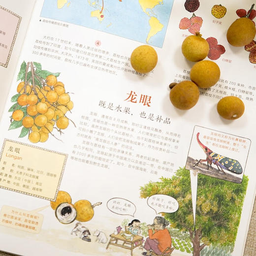 作物起源 7-10岁 唐靖 等 著 科普百科 商品图2