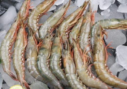 码头直发 象山海鲜套餐 商品图11
