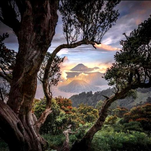 Chill玩印尼！2天1晚/3天2晚/4天3晚酒店住宿+火山门票+当地向导+用车！打卡人气目的地 泗水|赛武瀑布|布罗莫火山|宜珍火山 商品图2