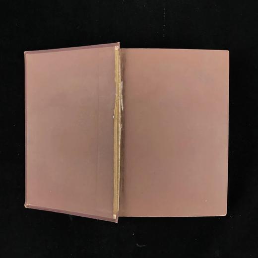 1876年 教堂漫步者（卷1） 约20幅插图 漆布精装32开 商品图2