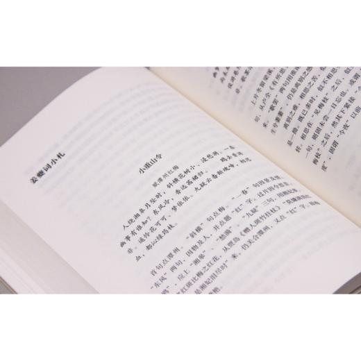 新民说 宋词赏析 诵诗偶记 沈祖棻/著 沈祖棻全集 商品图5