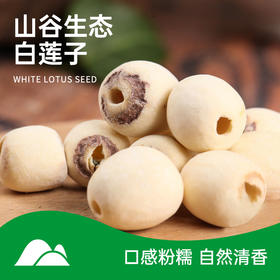 【莲子】250g 建宁农家去芯白莲子干货