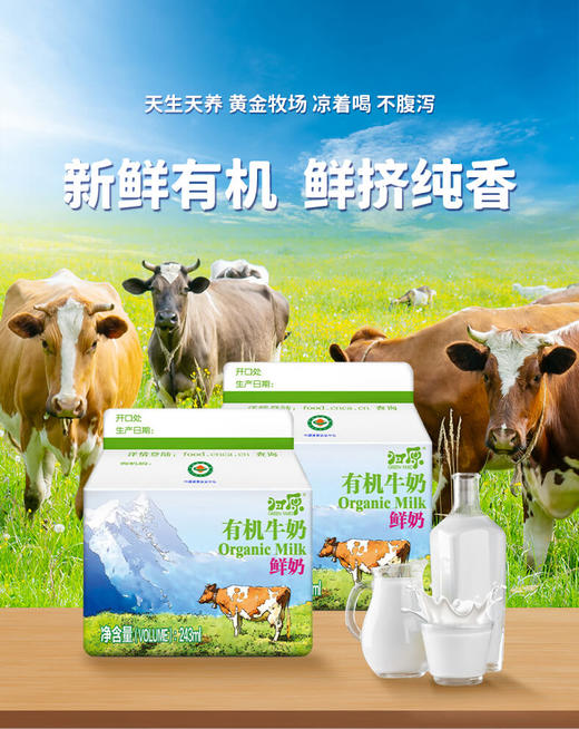 有机鲜牛奶 | 奶庄直发 | 牧场到加工厂60秒，真正保证鲜活营养 | 24h鲜配鲜达，住在北京，才有的口福 | 奶庄直发 商品图1