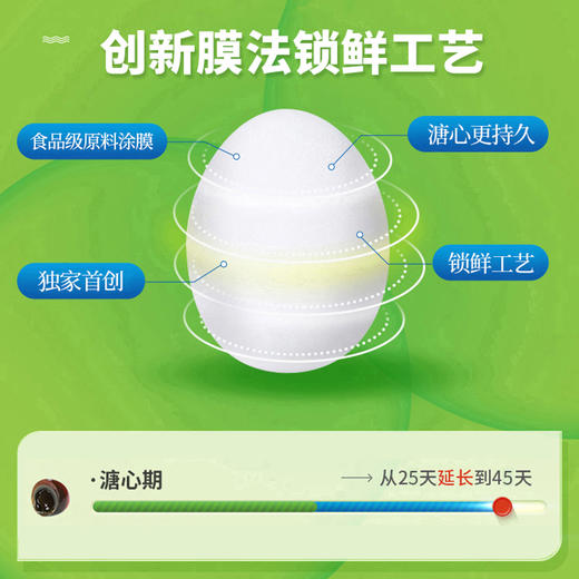 【孝感】神丹新一代锁鲜鸭皮蛋12枚装 商品图1