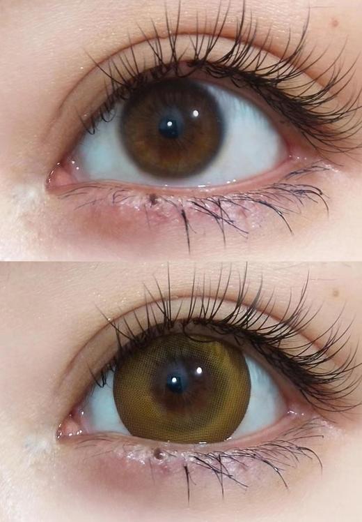 sheepcon 年抛 菠萝油 直径 14.5mm着色14.4mm 商品图2