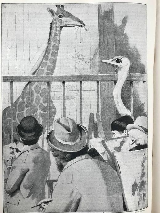 1896年 家庭箴言杂志 约百幅插图 漆布精装16开 商品图8