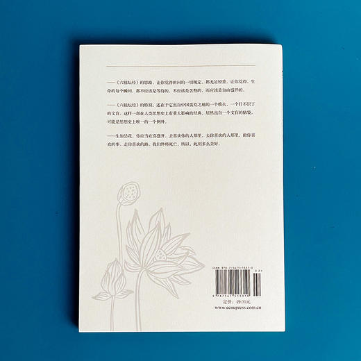不抑郁的活法 六祖坛经修心课 唤醒身心潜藏活力心灵疗愈励志经典 商品图4