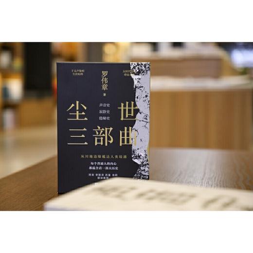 尘世三部曲(共三部) 商品图3