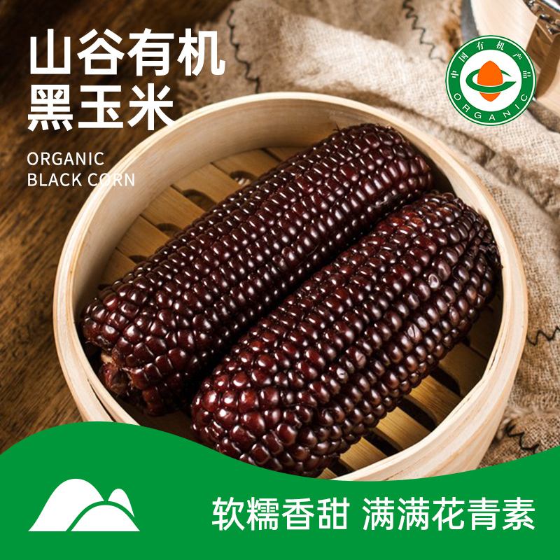 【有机黑玉米】6/8/10支装 软糯香甜 有机基地种植