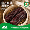 【有机黑玉米】6/8/10支装 软糯香甜 有机基地种植 商品缩略图0