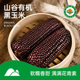 【有机黑玉米】6/8/10支装 软糯香甜 有机基地种植