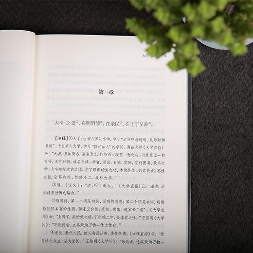 谦德国学文库 大学中庸（新版本） 商品图5