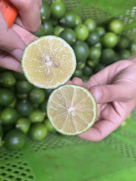 生态青柠 | 生态种植、老品种、带籽 | 每周发运2次，现采现发 | 产自云南元江眷村，产地直发，顺丰包邮 商品图3